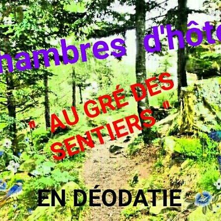 Bed and Breakfast Au Gre Des Sentiers Chez Marie Et Pierre Saint-Die-des-Vosges Zewnętrze zdjęcie