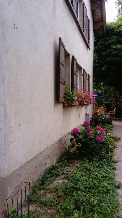 Bed and Breakfast Au Gre Des Sentiers Chez Marie Et Pierre Saint-Die-des-Vosges Zewnętrze zdjęcie