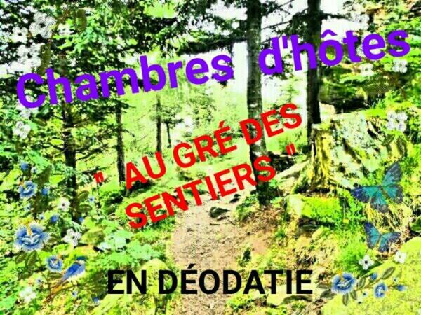 Bed and Breakfast Au Gre Des Sentiers Chez Marie Et Pierre Saint-Die-des-Vosges Zewnętrze zdjęcie