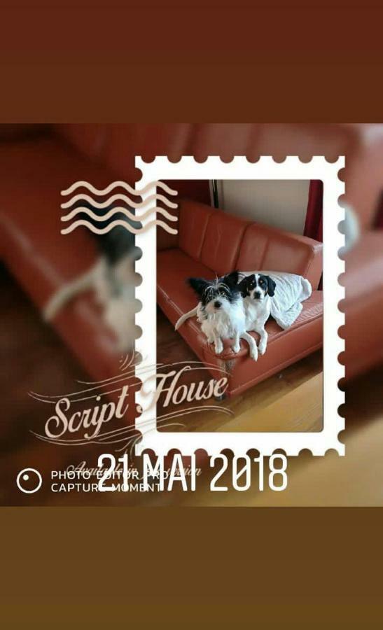Bed and Breakfast Au Gre Des Sentiers Chez Marie Et Pierre Saint-Die-des-Vosges Zewnętrze zdjęcie